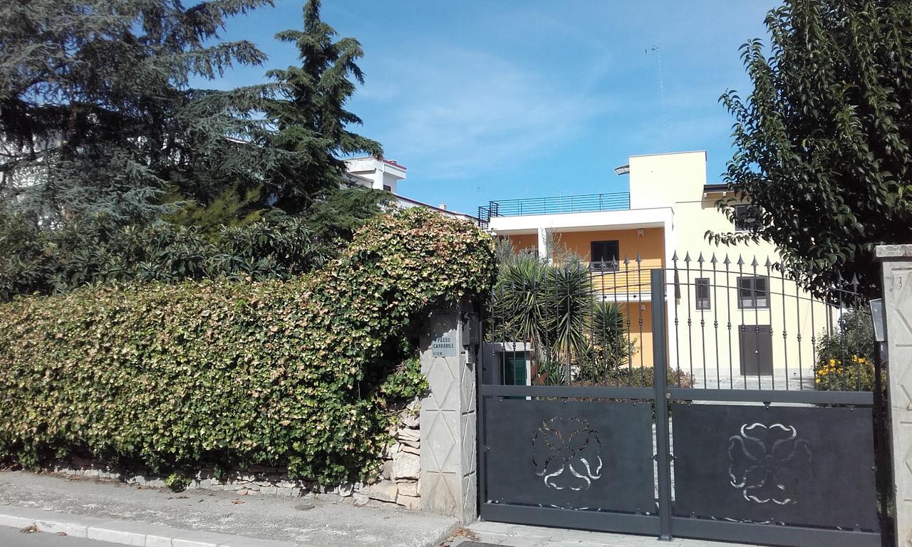 B&B La Palma Ruvo di Puglia Exteriér fotografie
