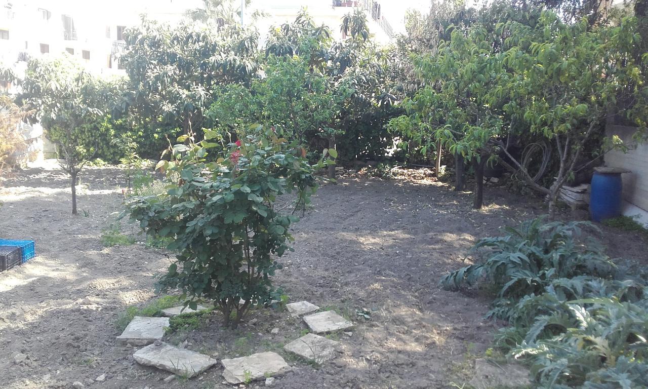 B&B La Palma Ruvo di Puglia Exteriér fotografie